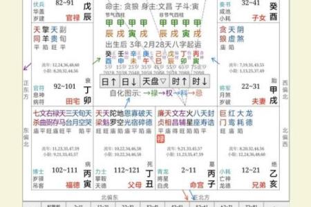 紫薇命盘紫薇斗数