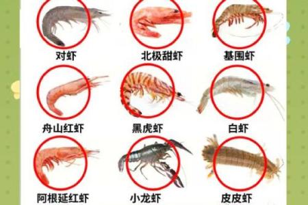 风水招财_养虾招财么
