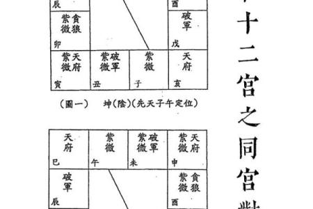紫薇斗数什么宫最重要