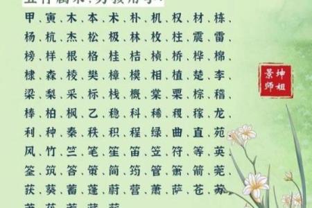 八字缺木喜土女孩名字大全