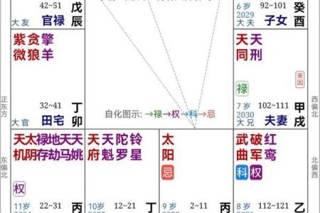 紫微斗数著名格局  紫微斗数144格局详解