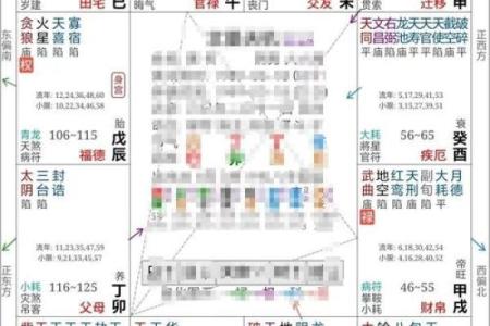 紫薇斗数对冲忌