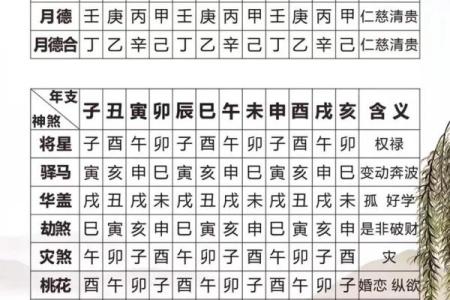 紫薇斗数神煞
